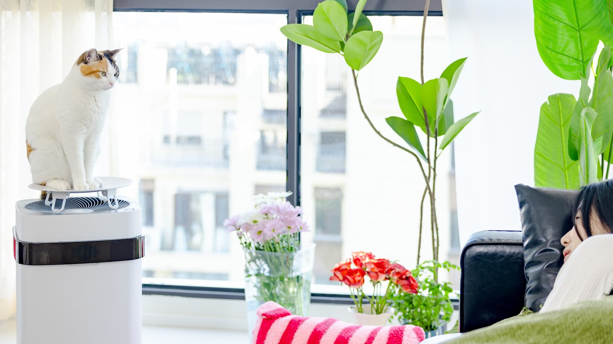 Are air purifiers safe for pets?