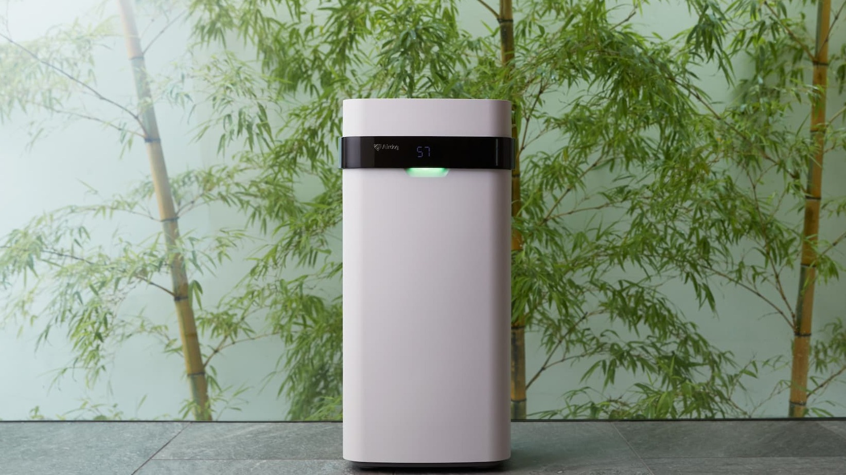 Are air purifiers safe for pets?