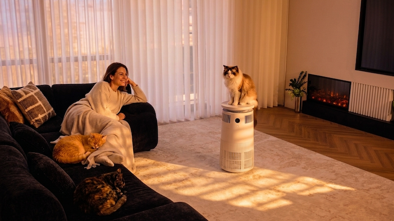 Air Purifier In Bedroom