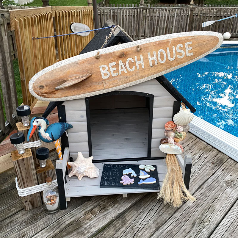 dog house