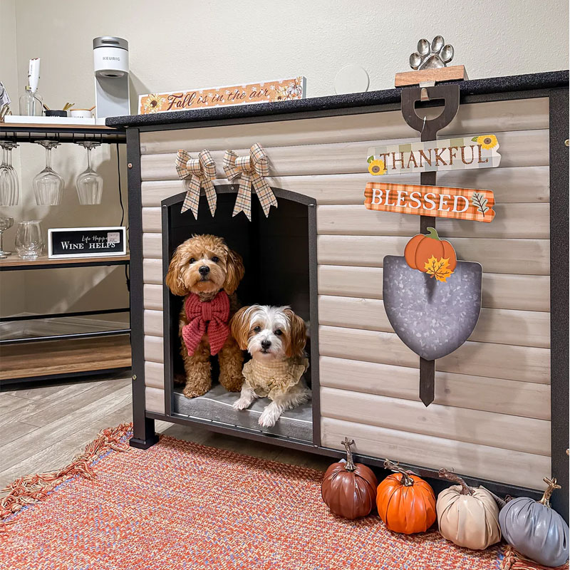dog house