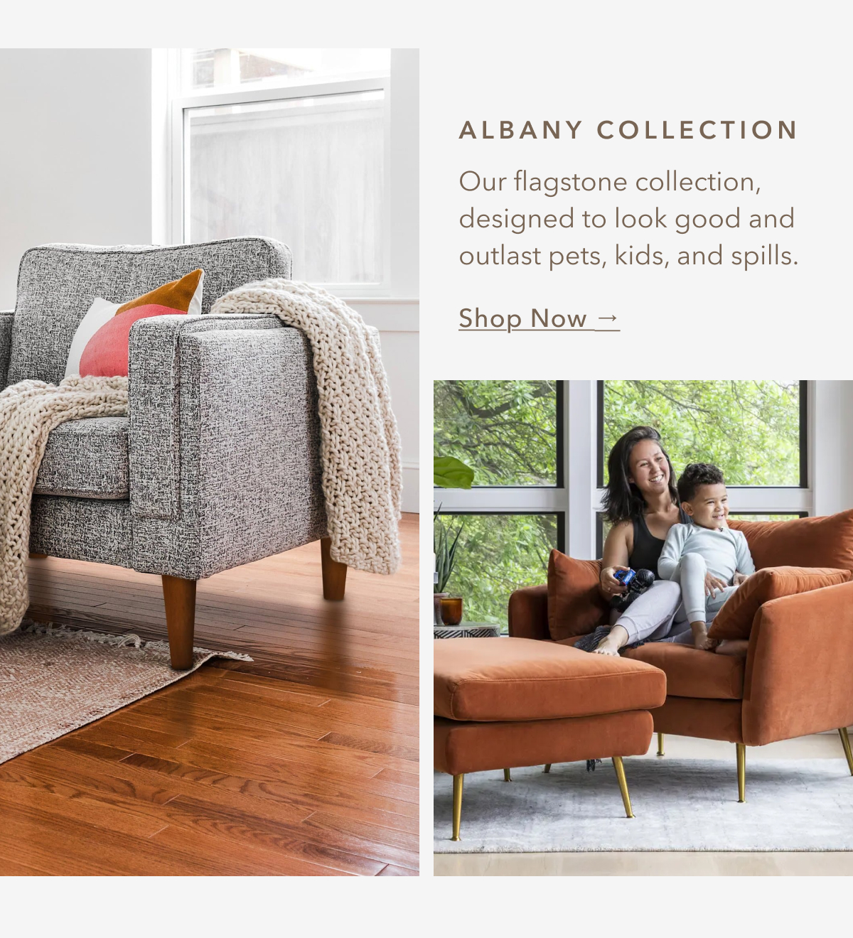 albany collection