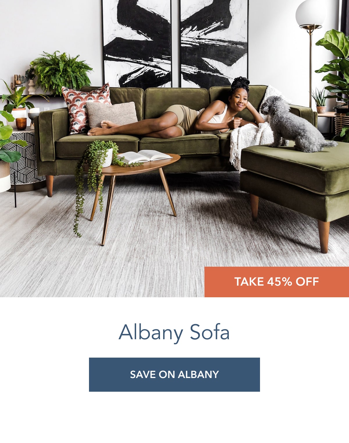 albany 45% off