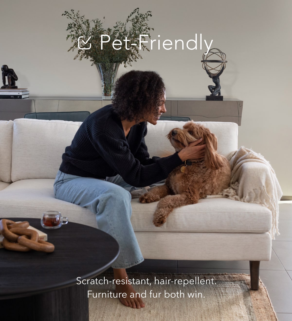 pet-proof