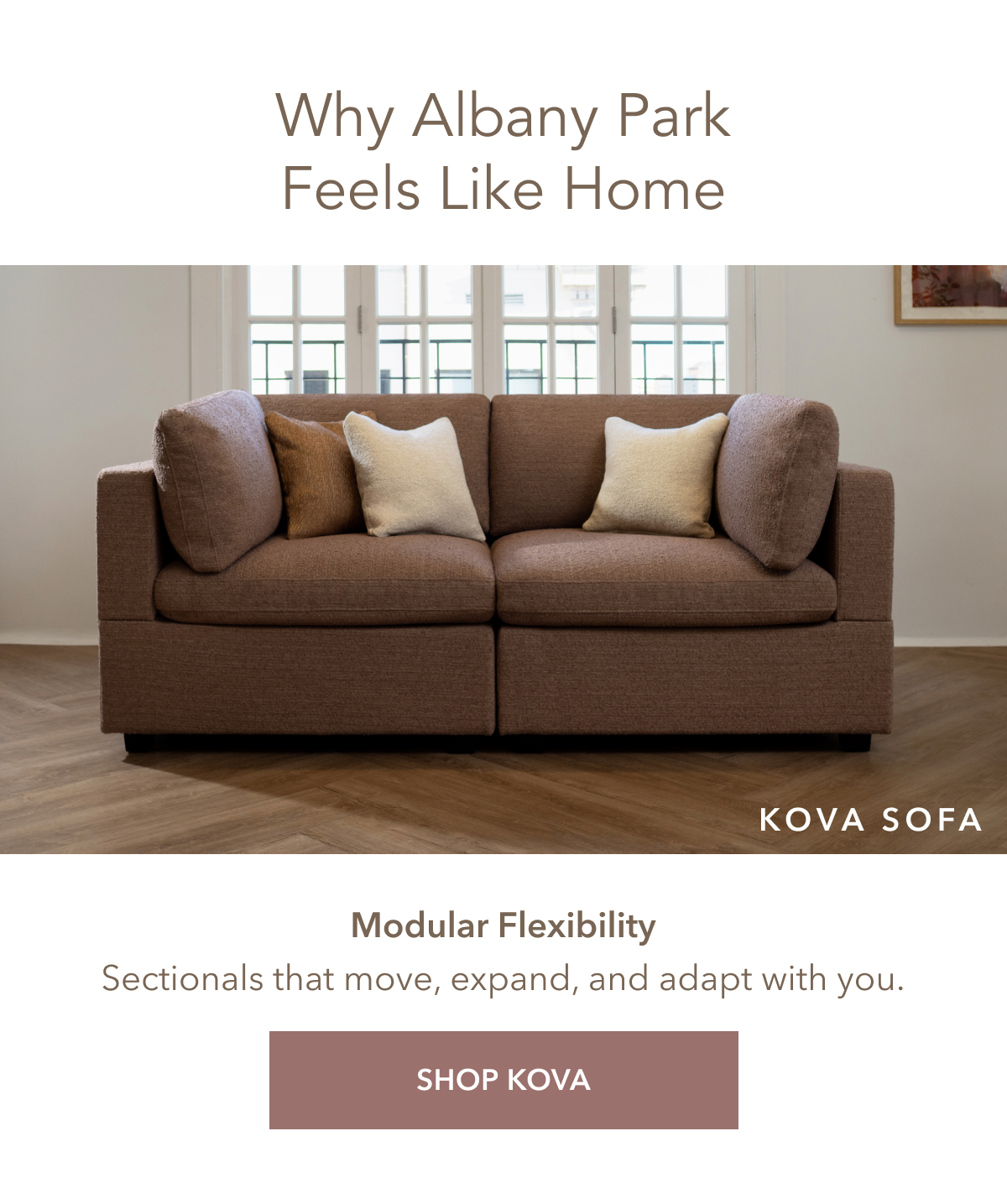 why albany park feels like home