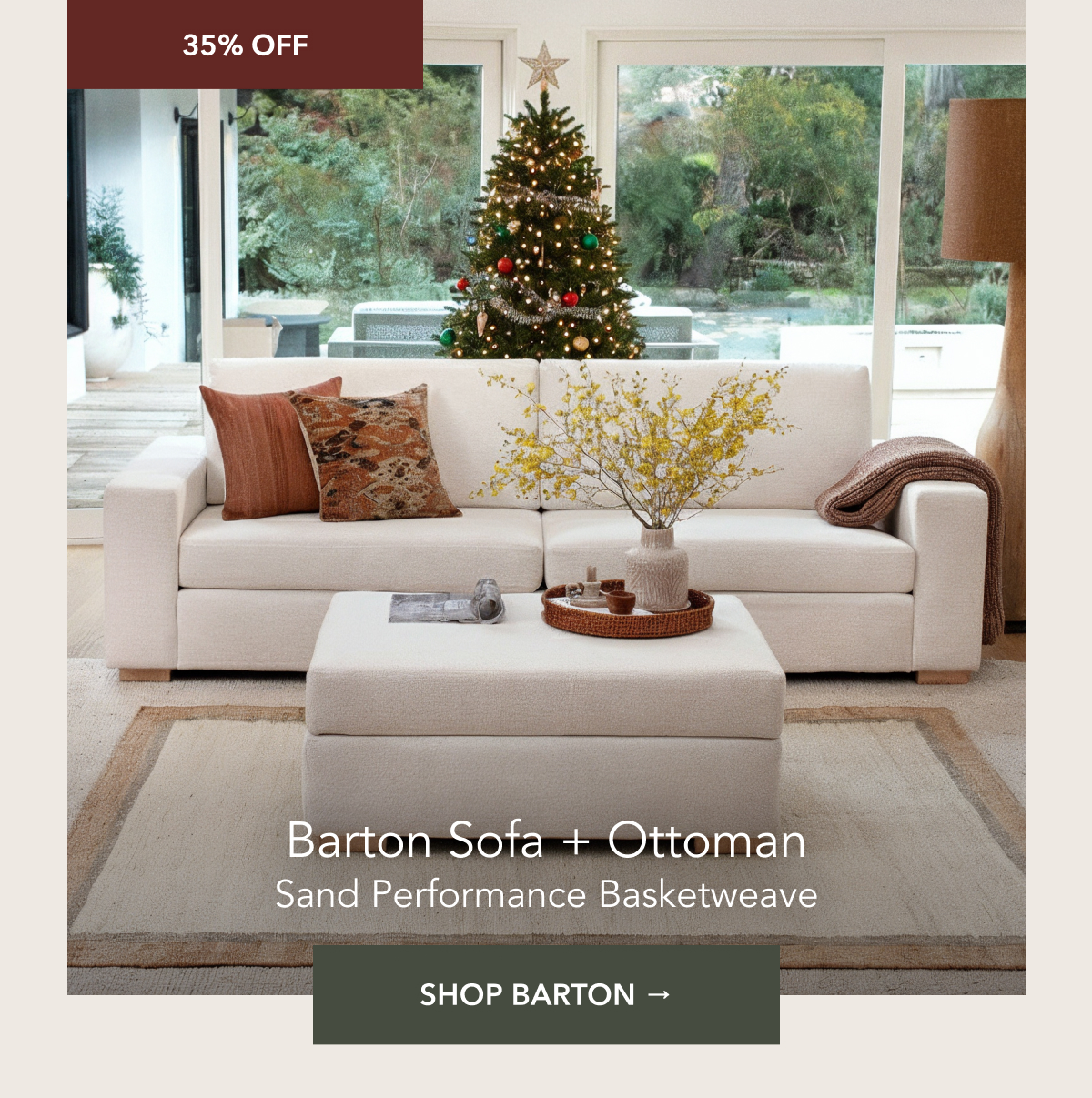 Shop Barton