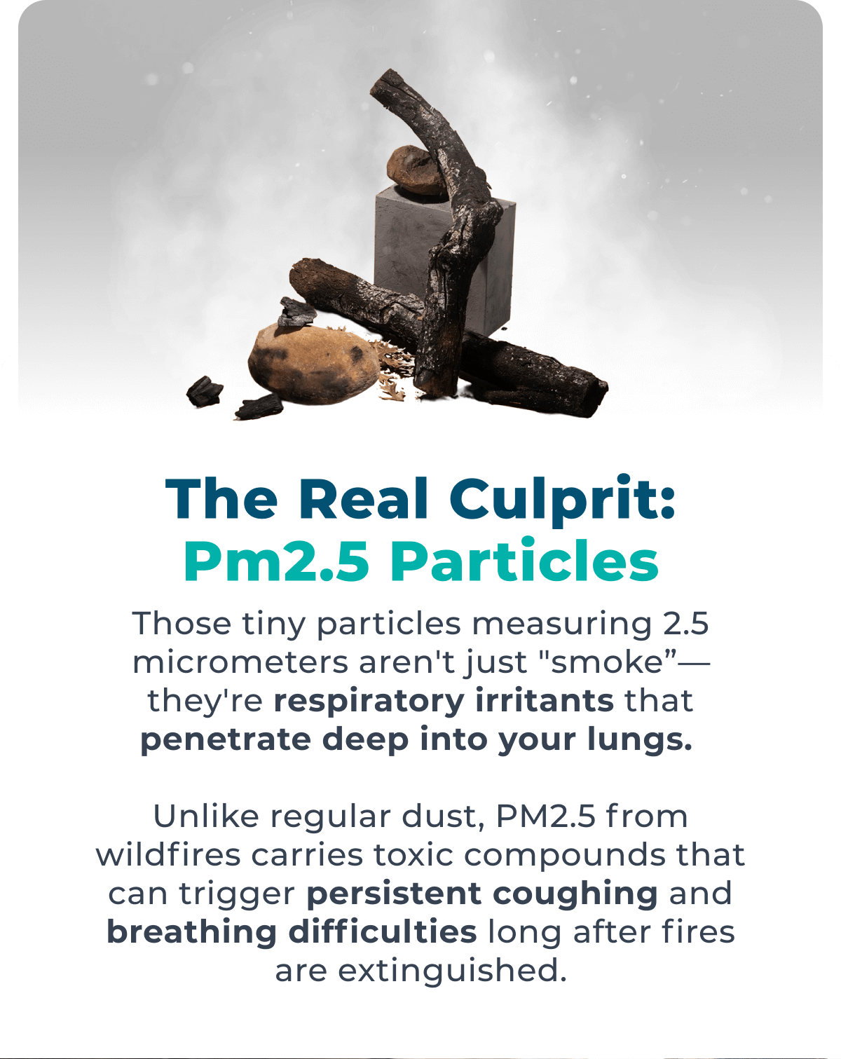 THE REAL CULPRIT: PM2.5 PARTICLES