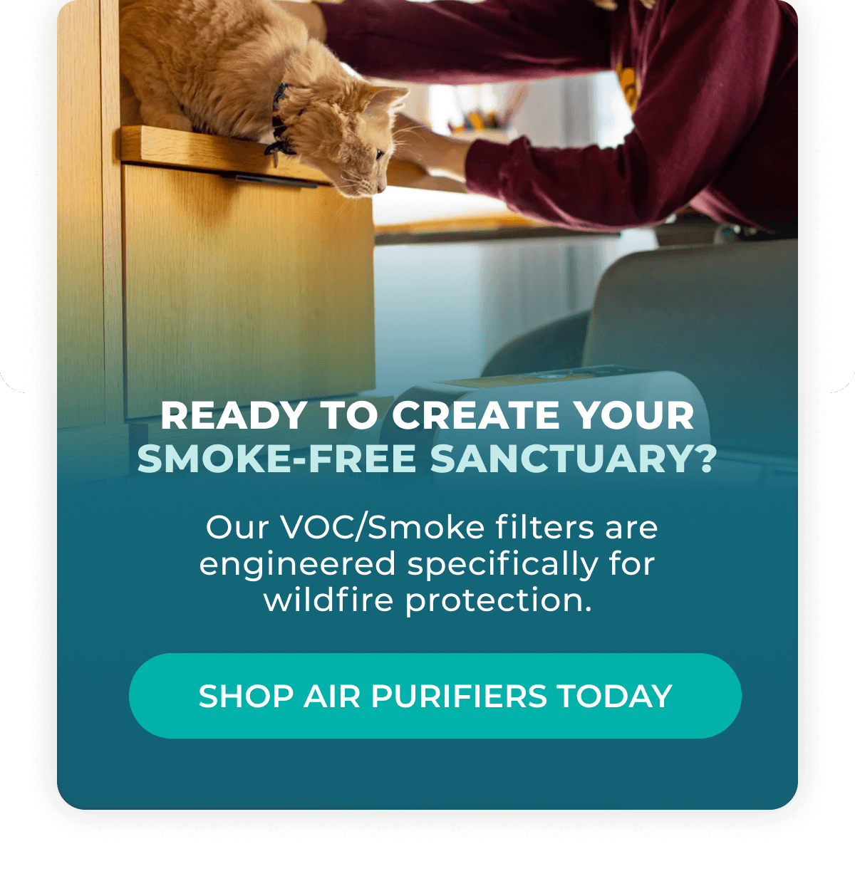 READY TO CREATE YOUR SMOKE-FREE SANCTUARY?