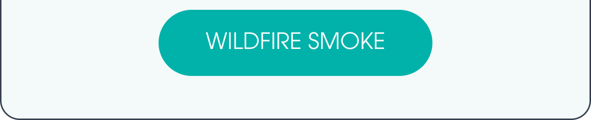 WILDFIRE SMOKE