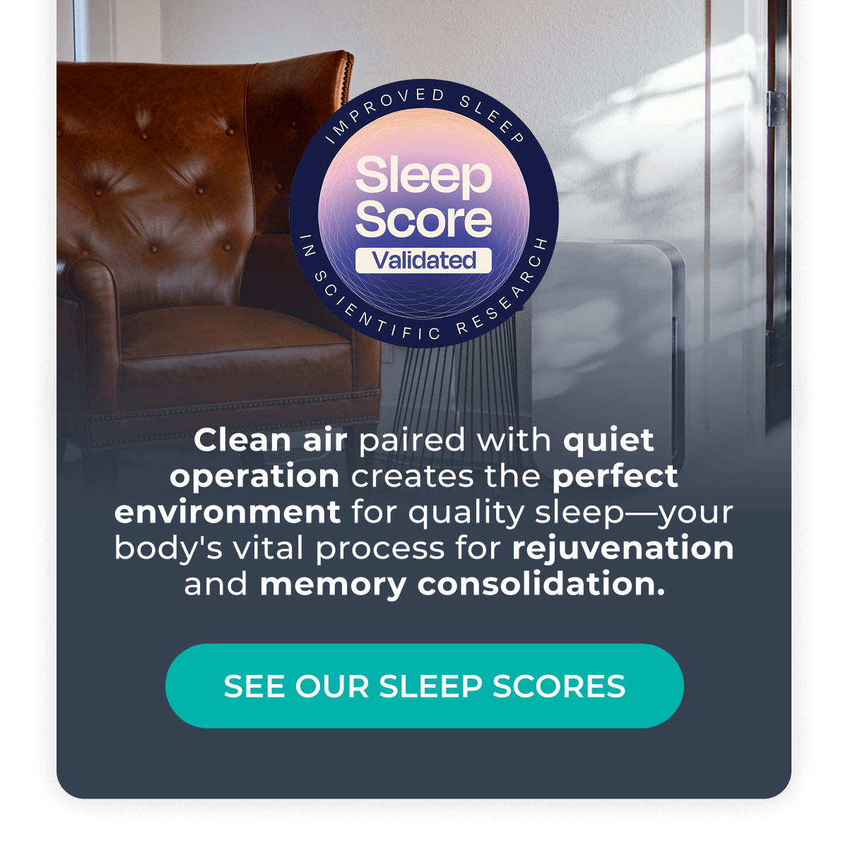 Clean air paired with quiet operation creates the perfect environment for quality sleep—your body's vital process for rejuvenation and memory consolidation.
