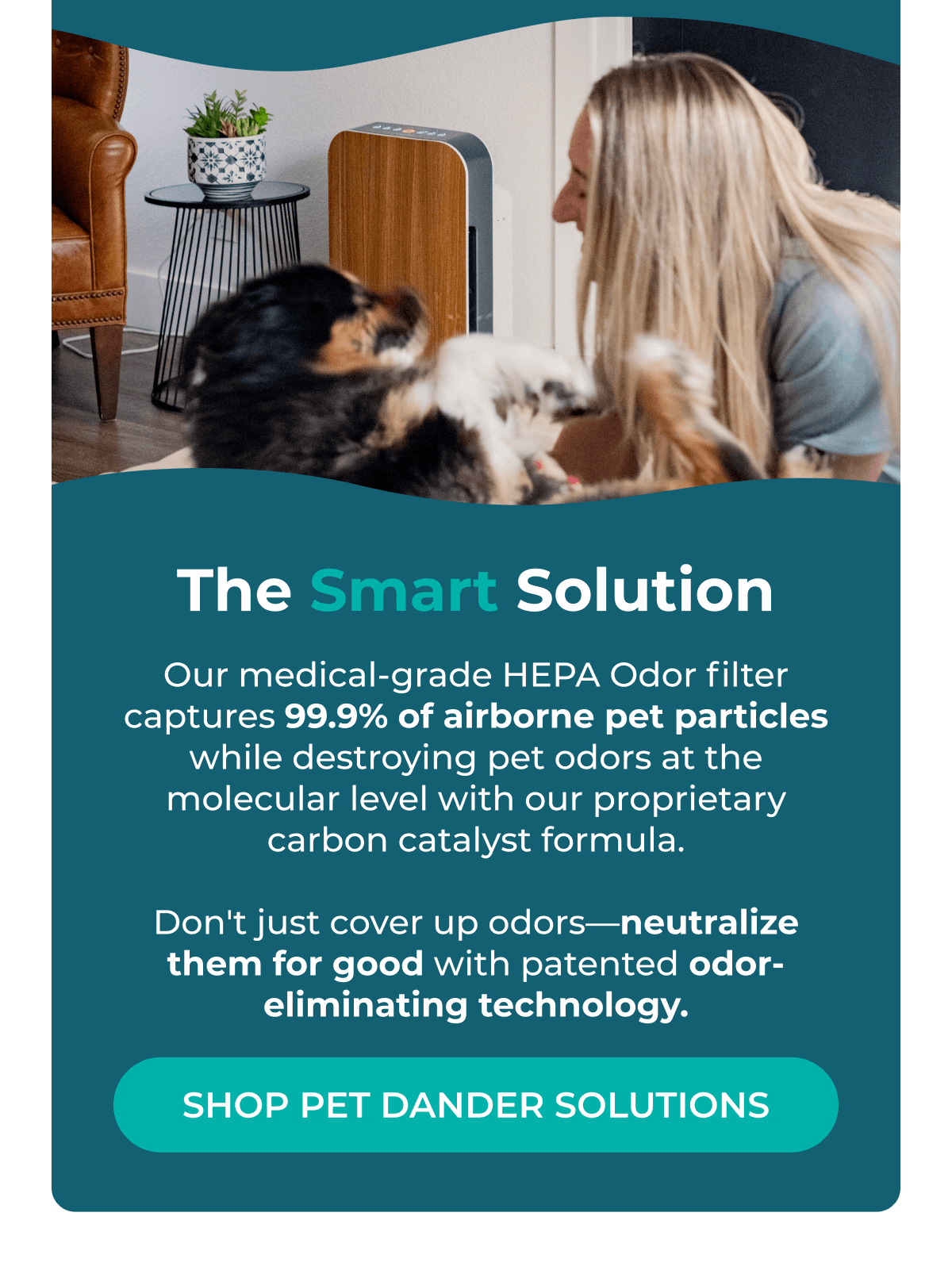 The Smart Solution