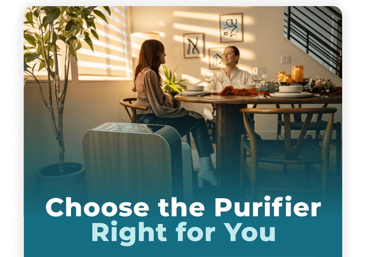 Choose the Purifier Right for You
