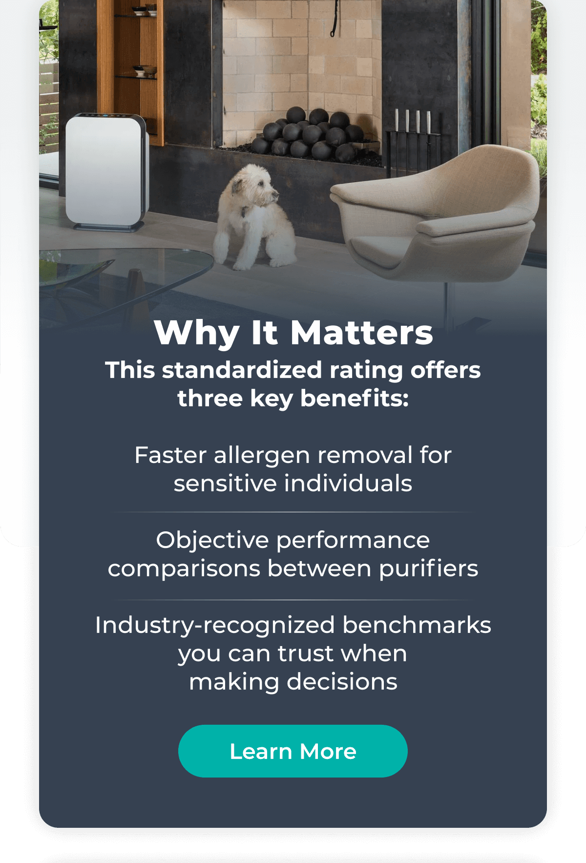 Why It Matters This standardized rating offers three key benefits:  Faster allergen removal for sensitive individuals Objective performance comparisons between purifiers Industry-recognized benchmarks you can trust when making decisions