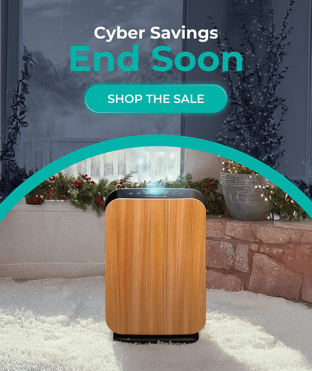 Cyber Savings End Soon