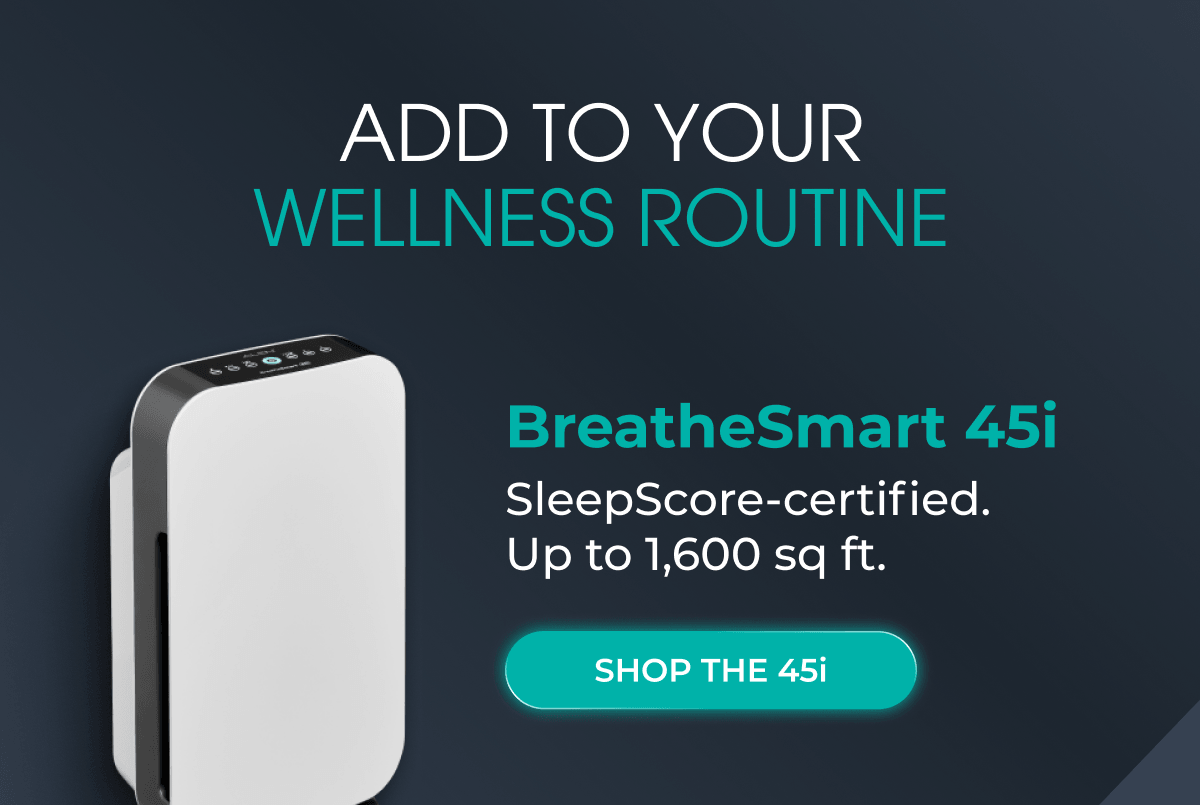 BreatheSmart 45i