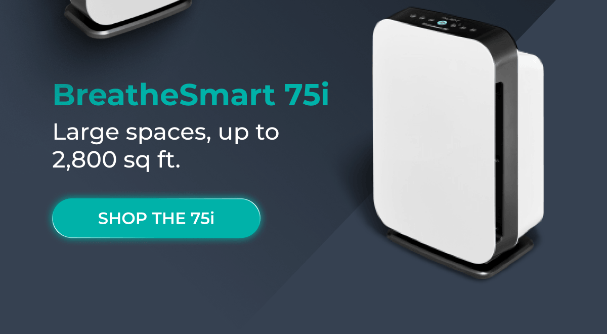 BreatheSmart 75i 