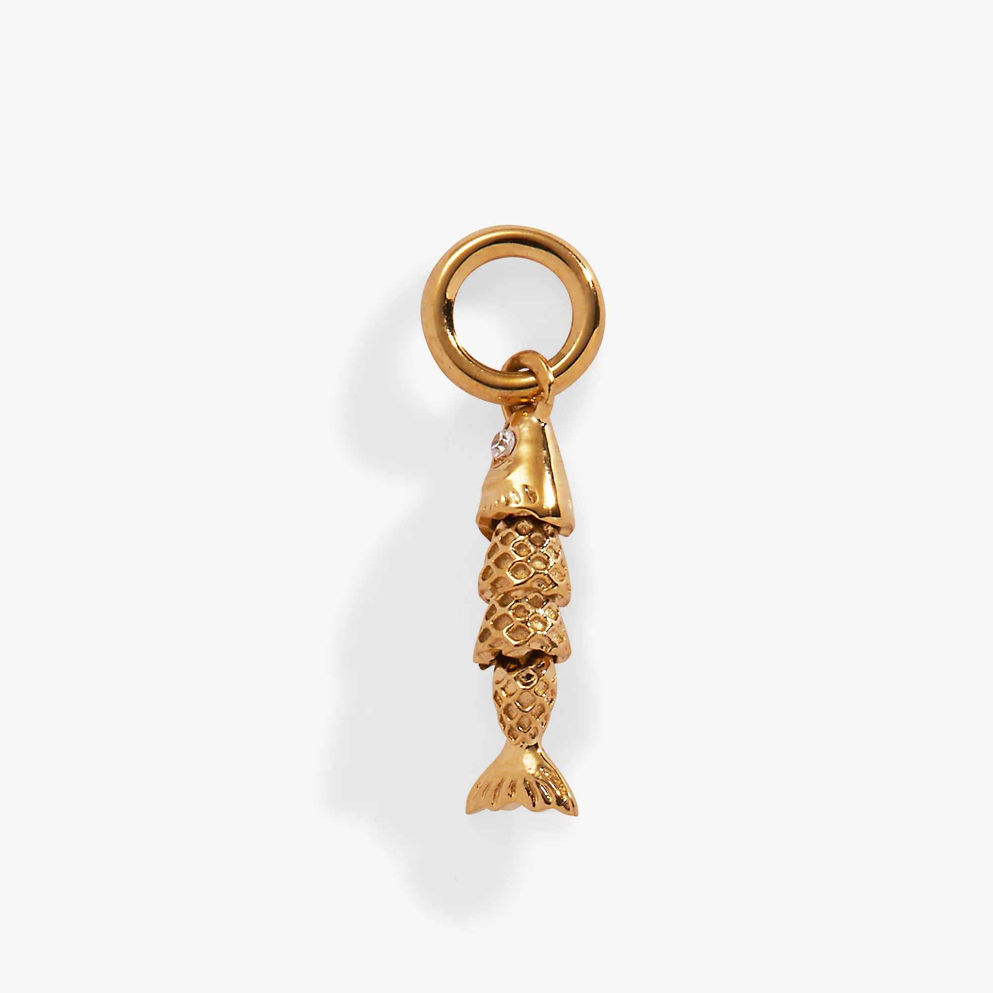 Image of Fish Interchangeable Charm
