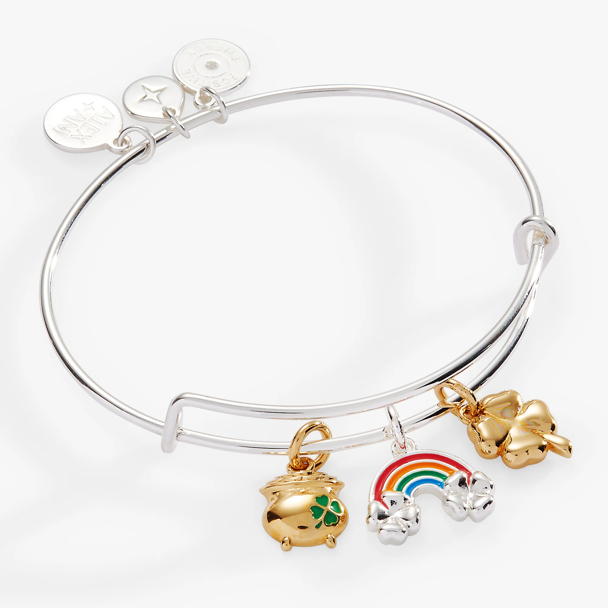 Image of End of the Rainbow Multi-Charm Bangle