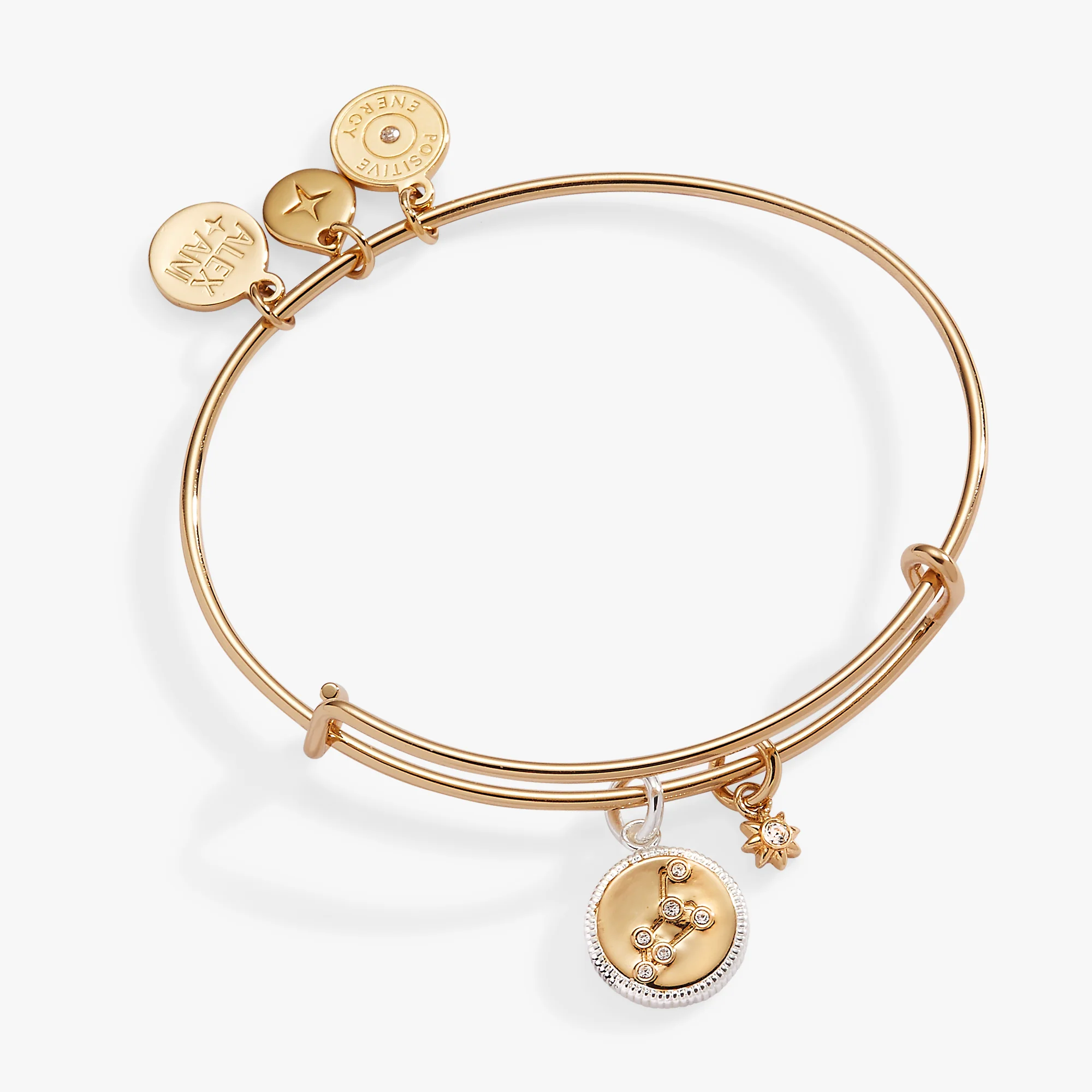 Image of Leo Zodiac Charm Bangle