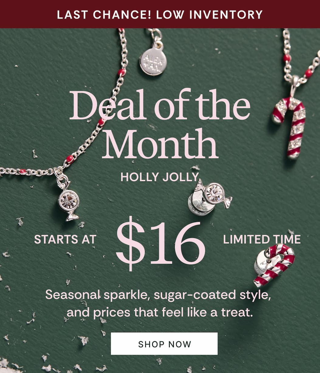 Last Chance! Low Inventory | Deal of the Month Holly Jolly Starts at $16 Limited Time