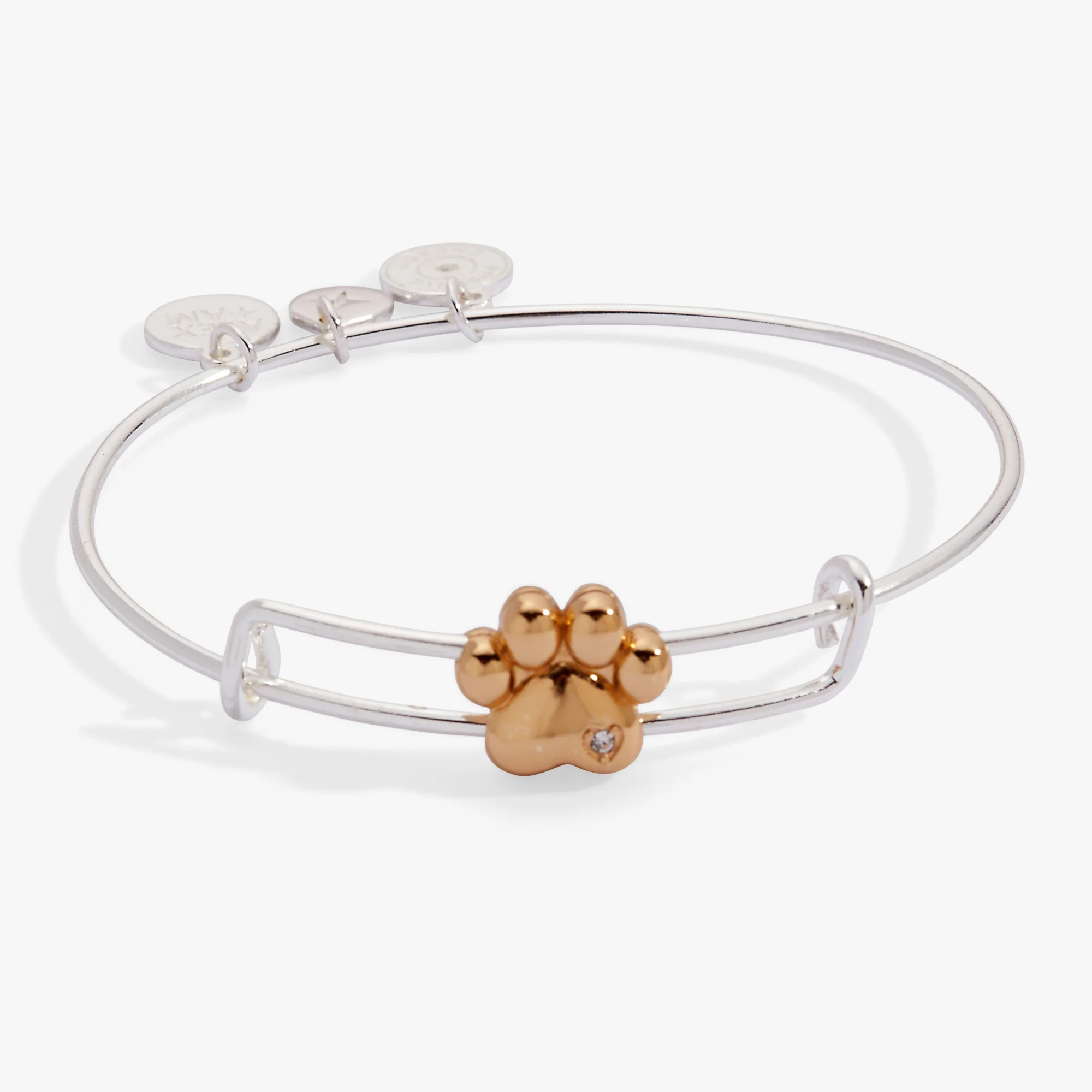 Image of Paw Slider Bangle
