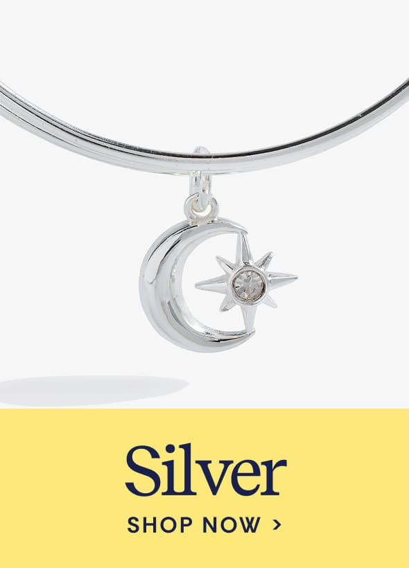 Shop Silver