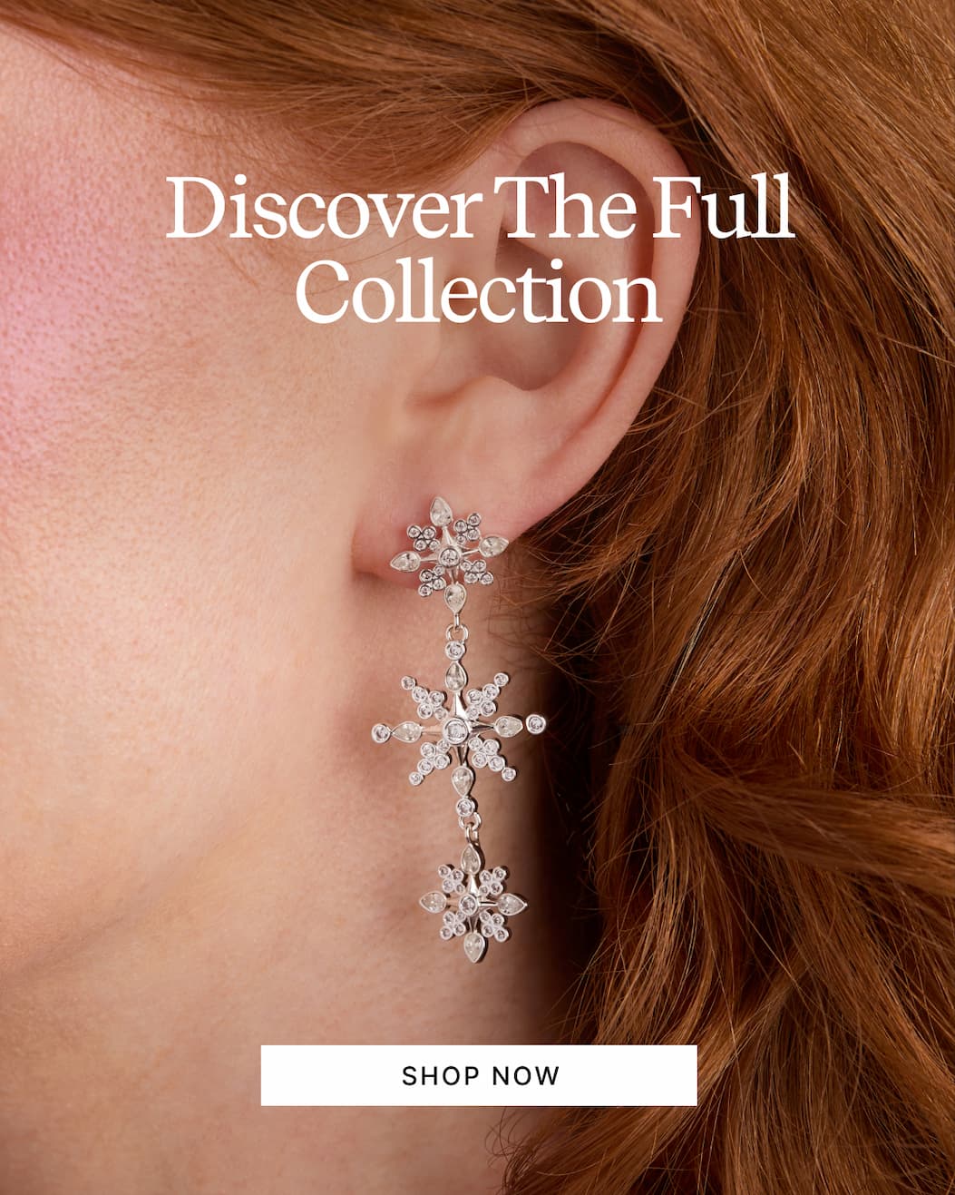 Discover The Full Collection