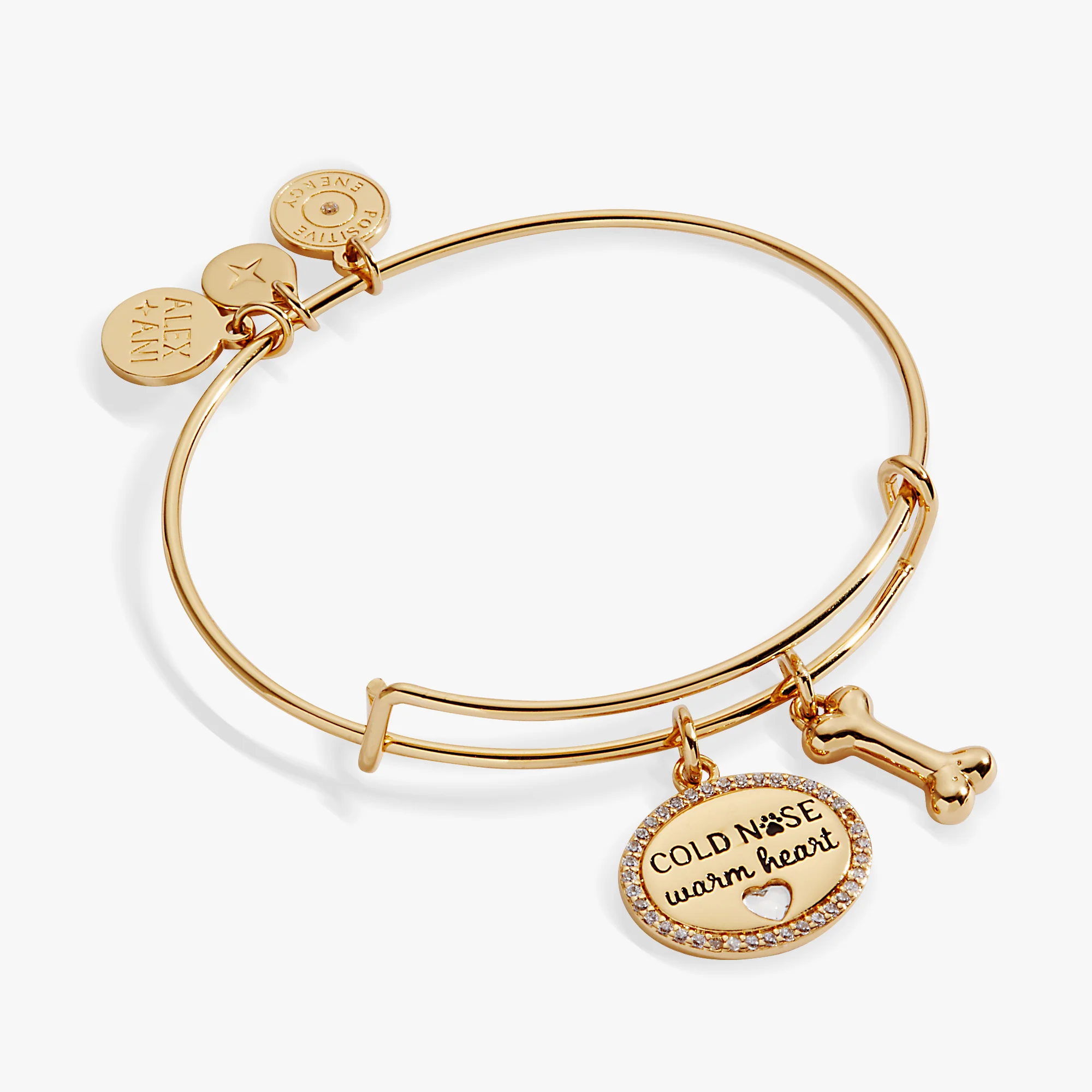 Image of Cold Nose, Warm Heart Charm Bangle