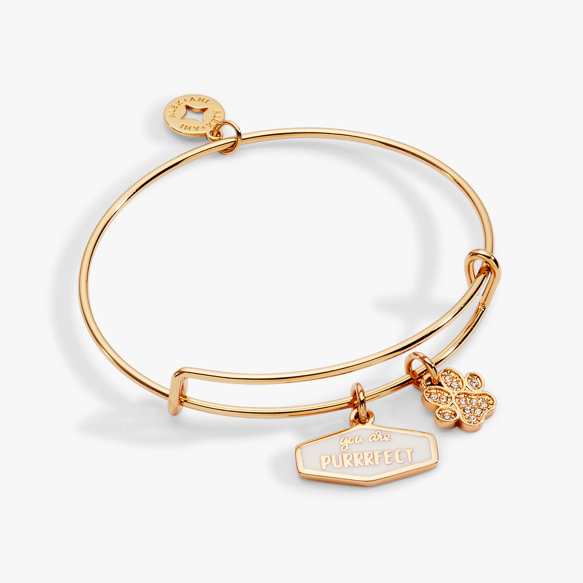Image of You Are Purrrfect Charm Bangle