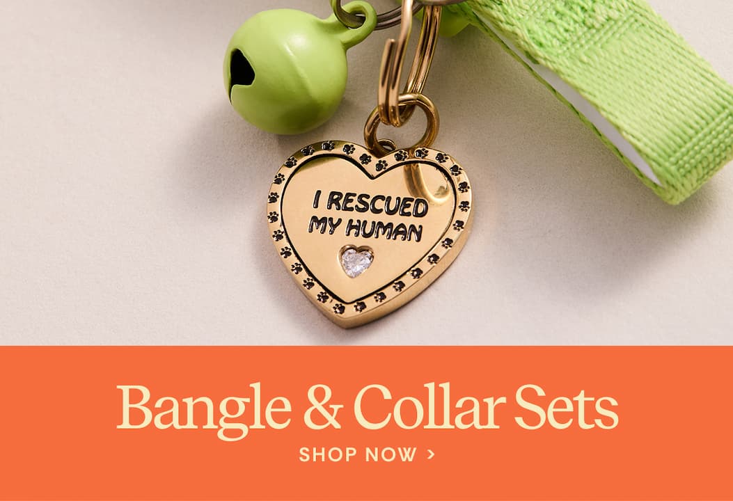 Shop Bangle & Collar Sets