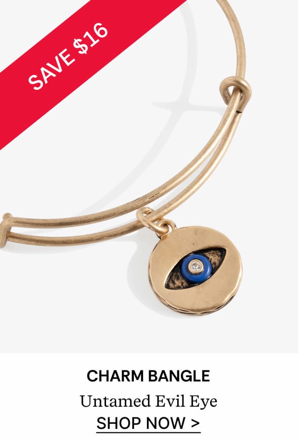 Untamed Evil Eye Charm Bangle | Shop Now