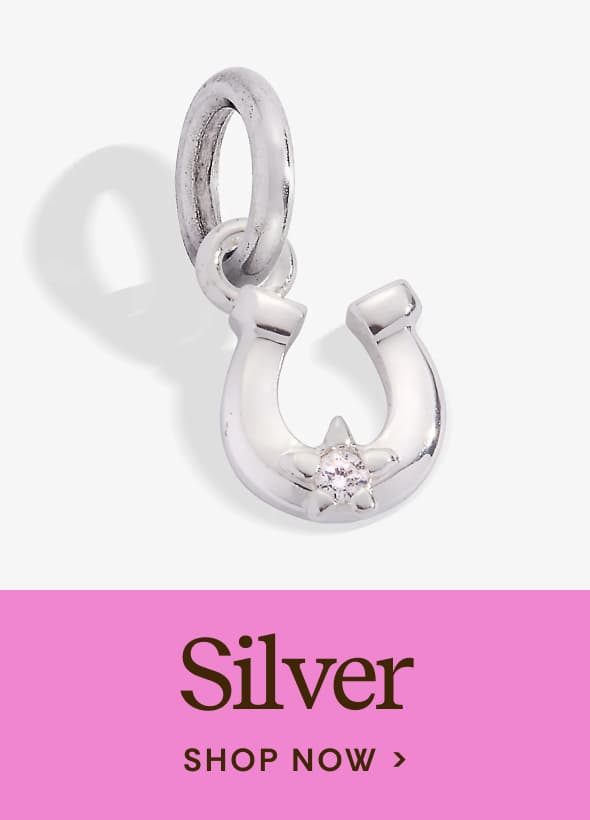 Shop Silver