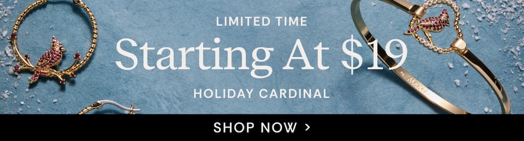Limited Time | Holiday Cardinal Starting at $19