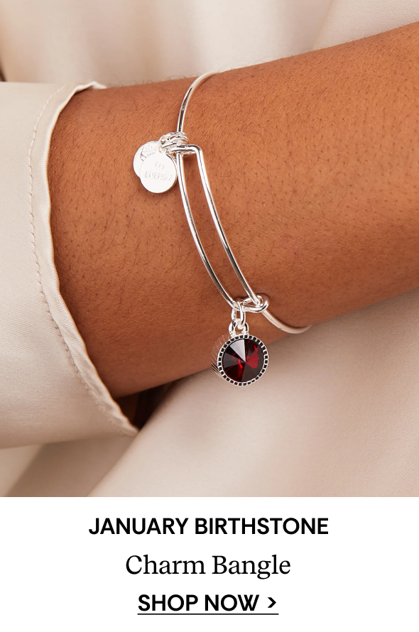January Birthstone Charm Bangle, Scarlet