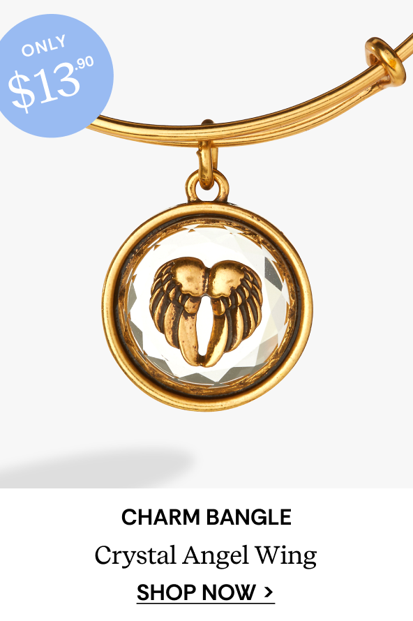 Crystal Angel Wing Charm Bangle