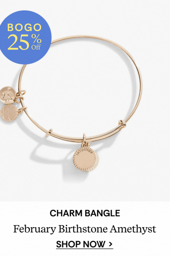 Shop February Birthstone Charm Bangle, Amethyst
