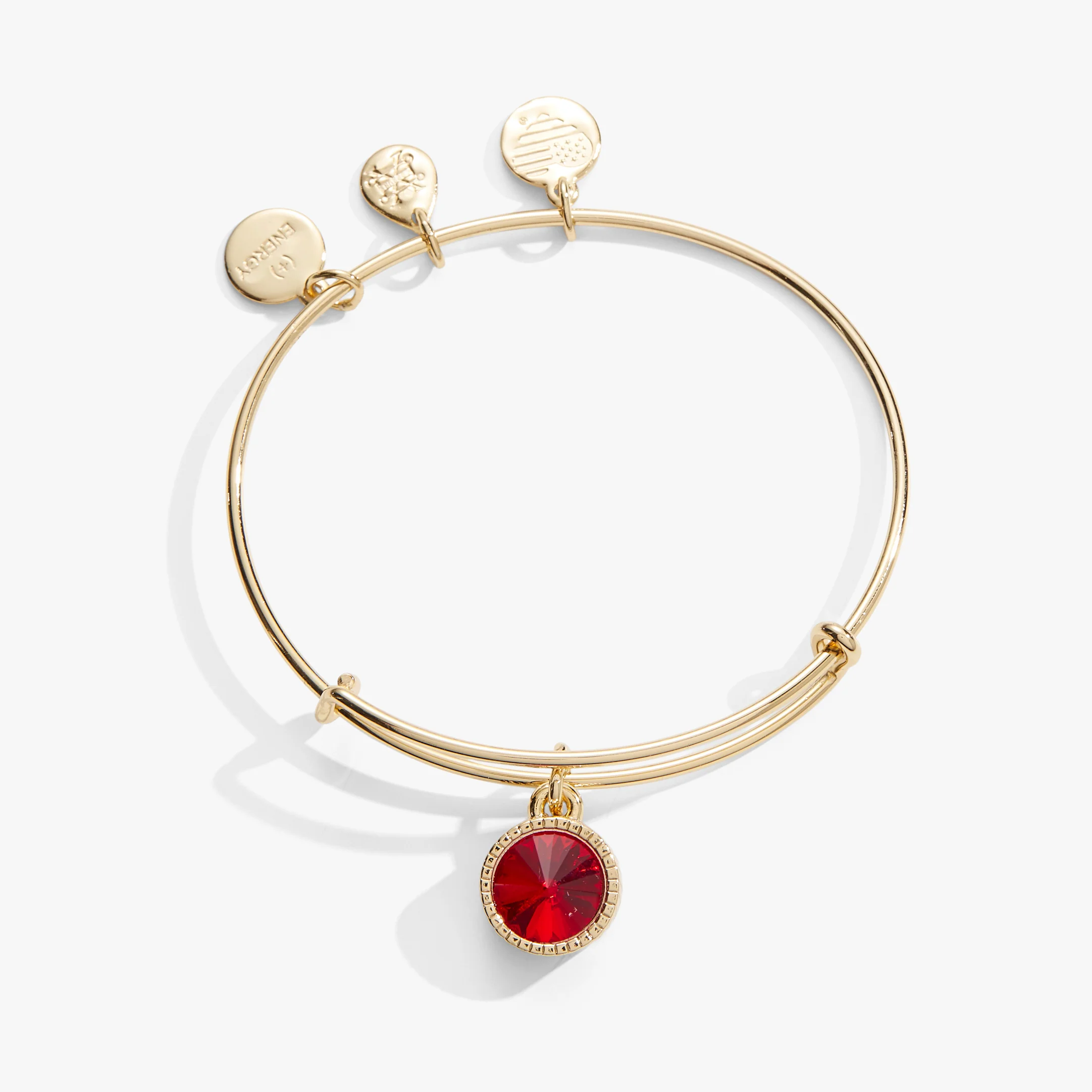 Image of July Birthstone Charm Bangle, Ruby