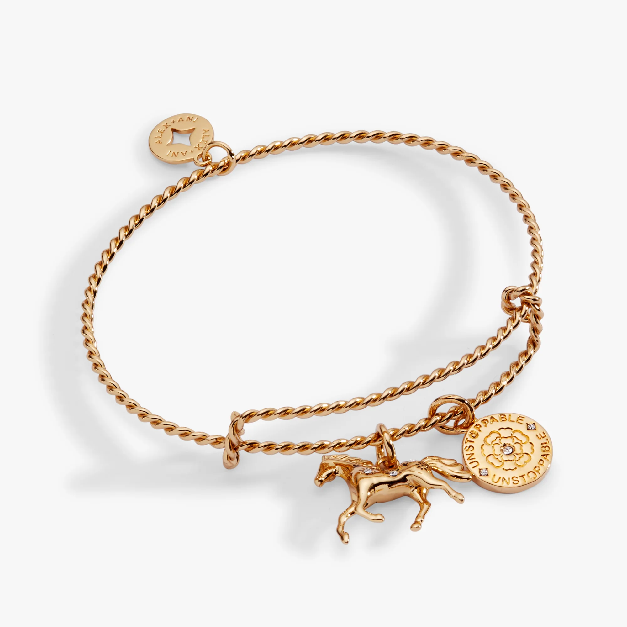 Image of Horse Rope Textured Charm Bangle