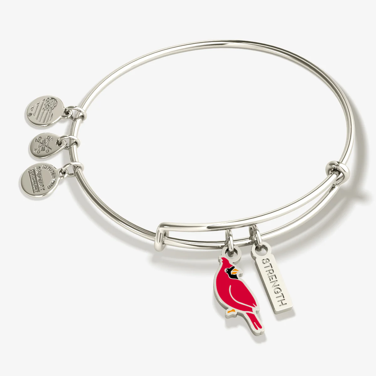Image of 'Strength' Cardinal Duo Charm Bangle Bracelet
