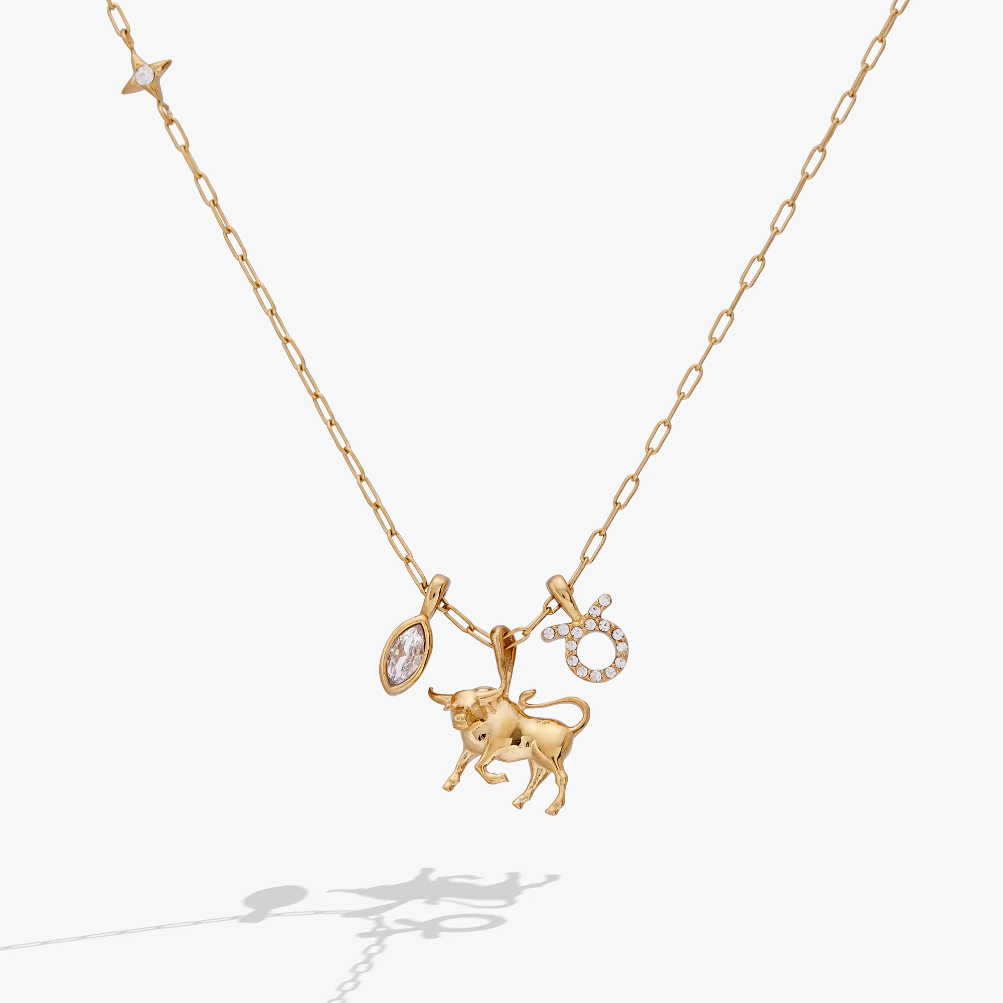 Image of Taurus Zodiac Charm Cluster Necklace