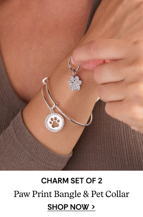 Paw Print Bangle & Pet Collar Charm Set of 2