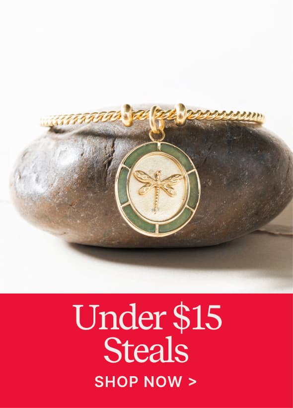 Under $15 Steals