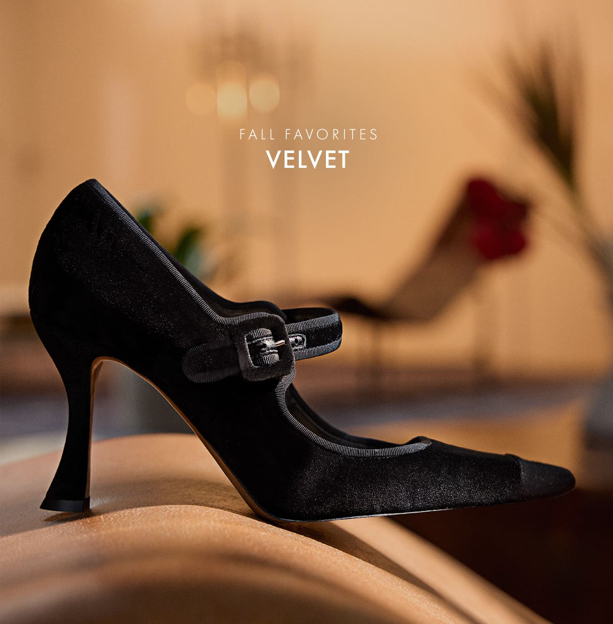 FALL FAVORITES | VELVET
