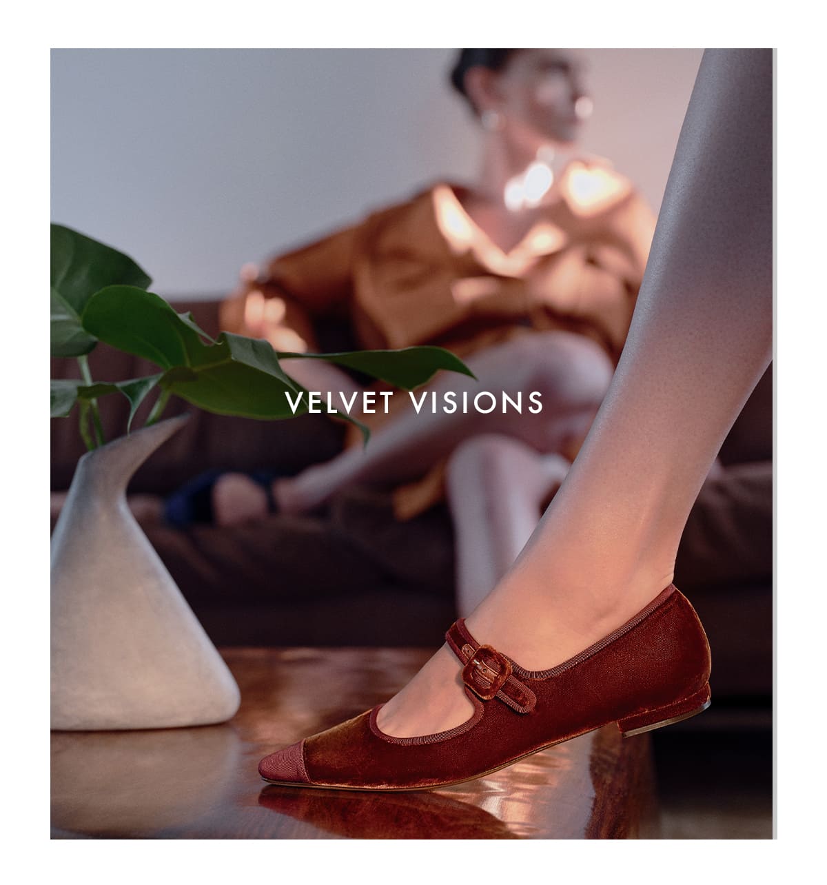 VELVET VISIONS