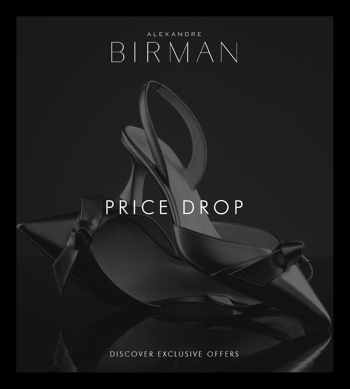 PRICE DROP | DISCOVER THE SELECTION