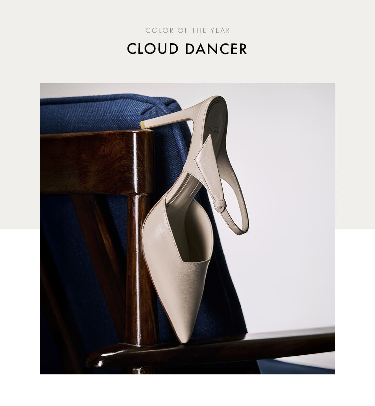 COLOR OF THE YEAR | CLOUD DANCER | SHOP NOW