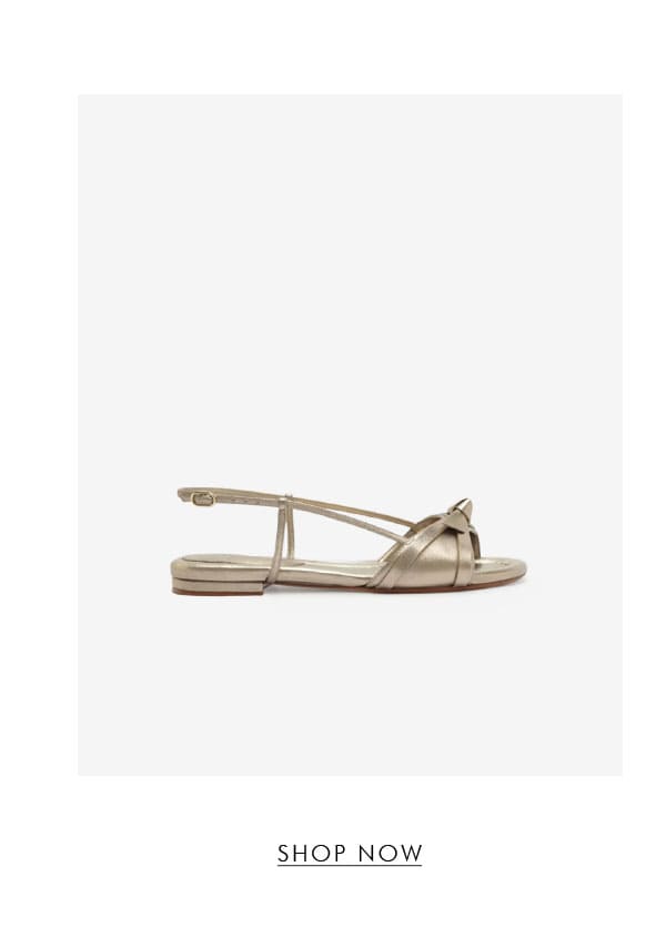 LUNA REFLECTIONS | SHOP NOW