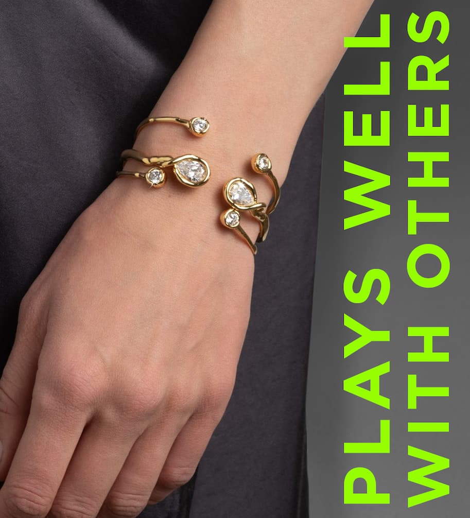 Shop the Asterales Series