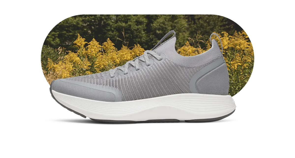 Srider