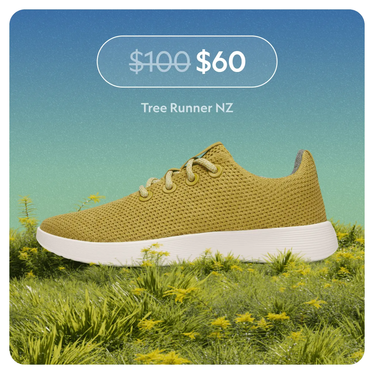Tree Runner NZ